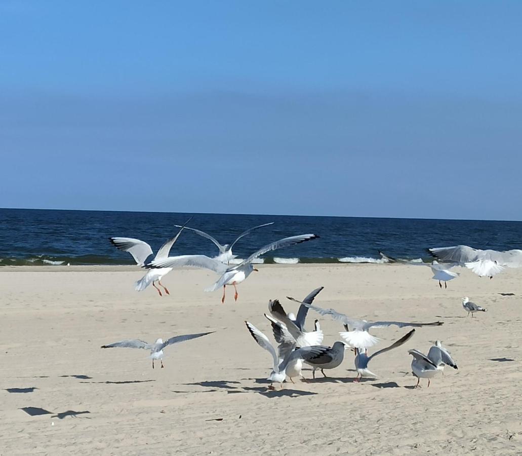 Ferienwohnung Strand25 Trassenheide Ngoại thất bức ảnh